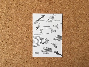 ポストカード(10枚1セット)　古代生物(消しゴムはんこ)