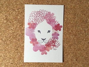 Postcard Lion Eraser