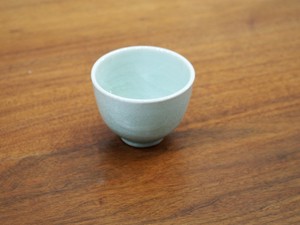 Seto ware Japanese Teacup Pottery Made in Japan