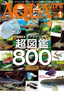 月刊アクアライフ 2021年1月号  アクアリウム超図鑑800／特大ポスターカレンダー付き！