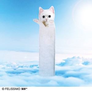 【K】「のびーるたん」とコラボ！なが〜い白猫タオル