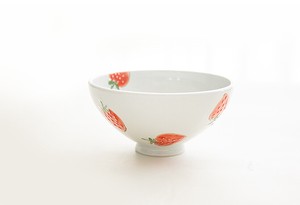 Rice Bowl Arita ware 12.8cm