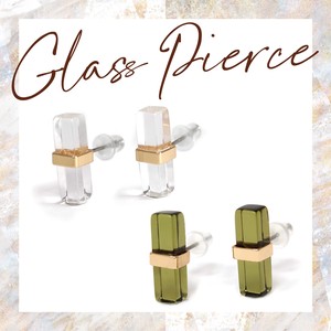 Pierced Earrings Titanium Post Glass Ladies' Clear