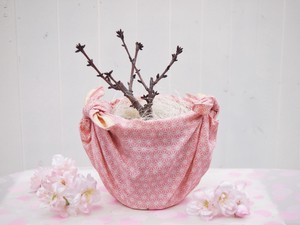 【桜・花・植物】一才桜風呂敷包み