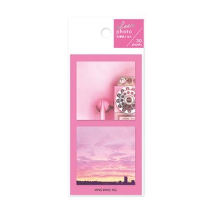 Sticky Notes Pink Sheer Photo Stick Markers