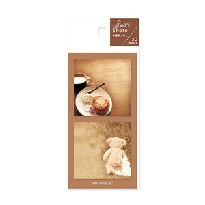 Sticky Notes Brown Sheer Photo Stick Markers