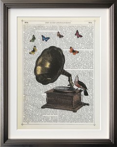 アートフレーム　マリオン・マコネギー Marion McConaghie Gramophone, Bird & Butterflies