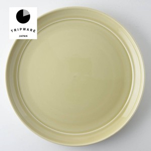 Mino ware Main Plate Trip Western Tableware Made in Japan