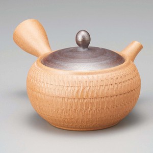 Tokoname ware Japanese Teapot Premium Tea Pot