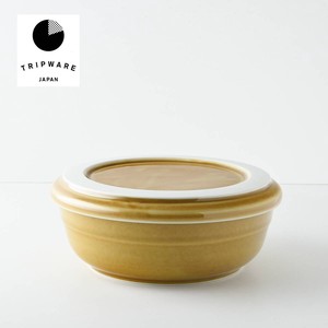 Mino ware Storage Jar/Bag Trip Caramel Western Tableware Made in Japan