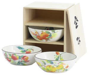 Mino ware Main Dish Bowl Gift
