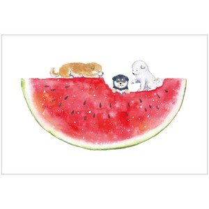 Postcard Watermelon Shiba Inu Summer