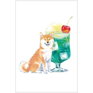 Postcard Cream Soda Shiba Inu Summer