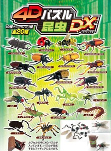 4Dパズル　昆虫DX