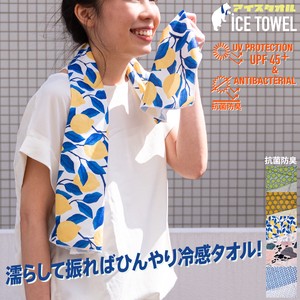 ICE TOWEL W/CARABINER　アイスタオル 冷却タオル　濡らしてひんやりCOOL【UV対策】エコ