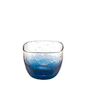 Cold sake cup Handmade glassware