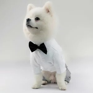 ペット スーツ ドッグ 犬 服 タキシード シャツ 結婚式 J11#ZJEA1140