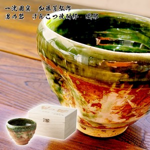 Mino ware Cup/Tumbler Gift Set Made in Japan