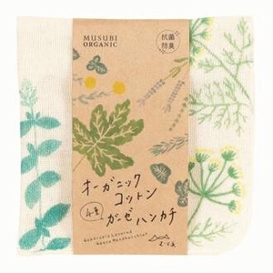 「エシカルコレクション」MUSUBI ORGANIC青山佳世4重ガーゼハンカチハーブグリーン【日本製 オーガニック】