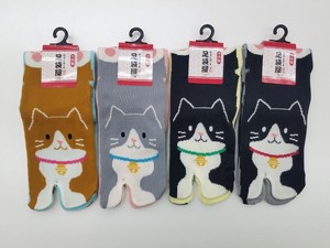 Socks Front Cat