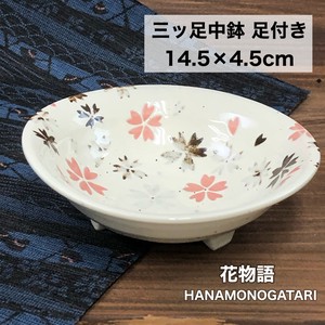Mino ware Main Dish Bowl
