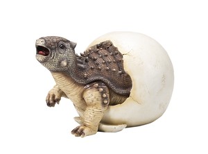 【エイチツーオー】アンキロサウルスの卵