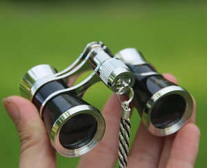 Telescope/Binocular