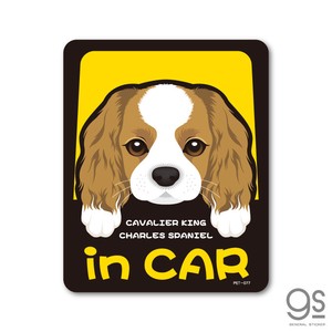 ペットステッカー CAVALIER KING in CAR キャバリア ドッグインカー 車 ペット 愛犬 DOG 全25犬種 PET077