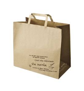 クラフトれしぷ 手提げ袋 2サイズ 持ち帰り紙袋 シンプルな紙袋 使いやすい紙袋