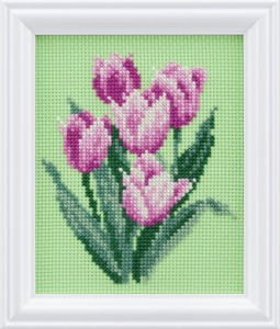 COSMO Flower'S Calendar Tulip