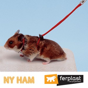 Small Animal Pet Item Set Hamster