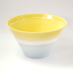 Mino ware Main Dish Bowl Pottery Pastel Made in Japan