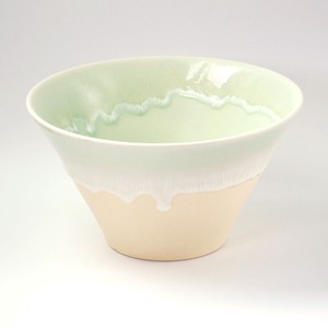 Mino ware Main Dish Bowl Pottery Pastel Made in Japan