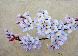 【日本人作家】　油絵　『桜』　安田英明　額無し　キャンバスのみ（木枠付き）