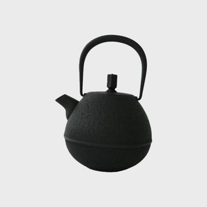 Nambu tekki Japanese Teapot Tea Pot