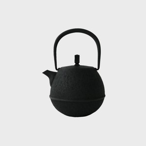 Nambu tekki Japanese Teapot Tea Pot