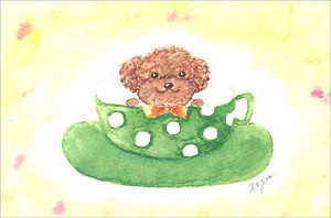 ポストカード marron125「コーヒーカップわんちゃん」 水彩画 犬かわいい