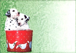 絵封筒 (同柄5枚セット) 156×108mm レター バレンタイン 犬 イヌ ダルメシアン