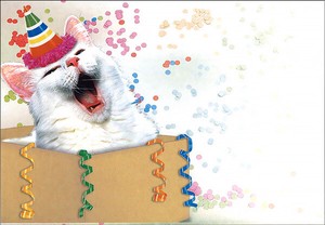 絵封筒 (同柄5枚セット) 156×108mm レター バレンタイン 猫