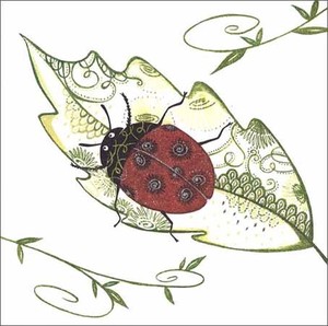 グリーティングカード 多目的 「てんとう虫と葉」 昆虫