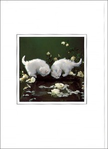 グリーティングカード 多目的 B&Bフラワーシリーズ「白い子猫」