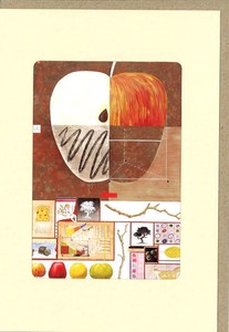 グリーティングカード 風水 ウィンドウシリーズ「リンゴのコラージュ」 窓付きフルーツ イラスト