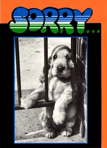 グリーティングカード 多目的 モノクロダイカット「子犬：sorry...」モノクロ写真
