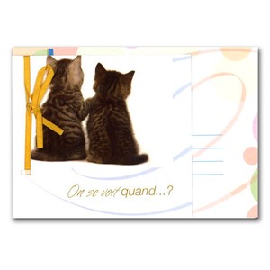 グリーティングカード 多目的 リボンコレクション「二匹のネコ（後姿）」動物