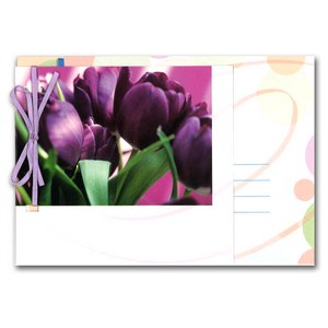 グリーティングカード 多目的 リボンコレクション「紫のチューリップ」花