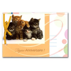 グリーティングカード 多目的 リボンコレクション「5匹の子猫」動物