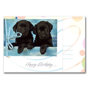 グリーティングカード 誕生日/バースデー リボンコレクション「黒のラブラドール」動物