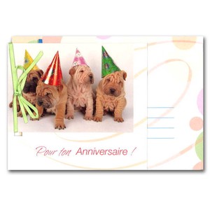 Greeting Card Animals collection Dog