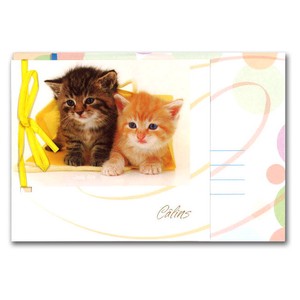 グリーティングカード 多目的 リボンコレクション「2匹の子猫」動物