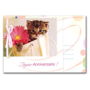 グリーティングカード 誕生日/バースデー リボンコレクション「子猫とガーベラ」動物